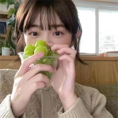 使徒行者系列